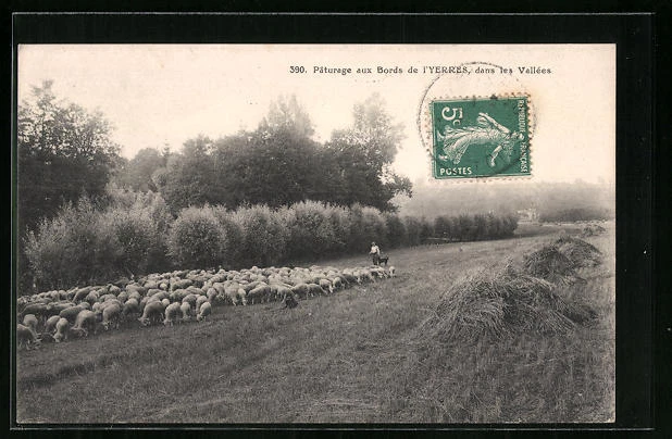 CPA Yerres, Pâturage aux Bords de l´Yerres dans les Vallées 1911