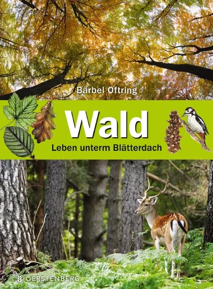 Wald: Leben unterm Blätterdach von Oftring, Bärbel / Buch / Gerstenberg Verlag