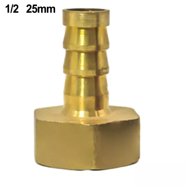 Heavy Duty Brass BSP Female Thread Connector Tail Pipe Hose Fitting 12 Gold