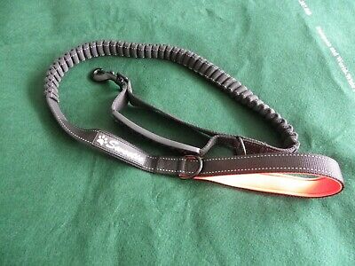 New Sweetie Anti Pull Bungee Shock Absorbing Dog Lead 4FT to 5.6FT
