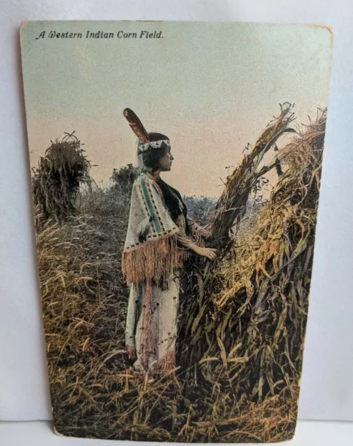 Early 1900s Vintage Postcard Western Indian Corn Field Native Americana