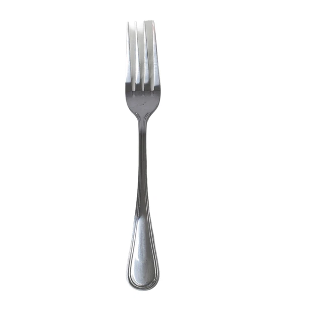World Tableware Brandware Long Tine Fork 12 Piece Set New McIntosh Stainless