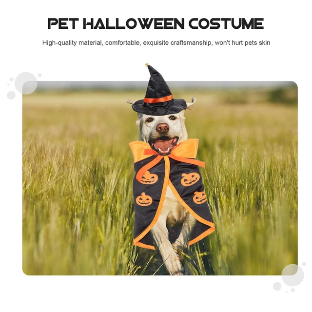 lounge sets 1 Satz von Haustier-Kostüm-Hut-Mantel-Set-Katzenhund-Cosplay-Stüt 8
