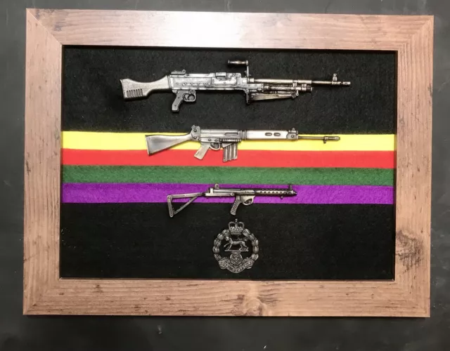 Royal Hampshire Regiment Presentation Frame with 1/6 scale weapons