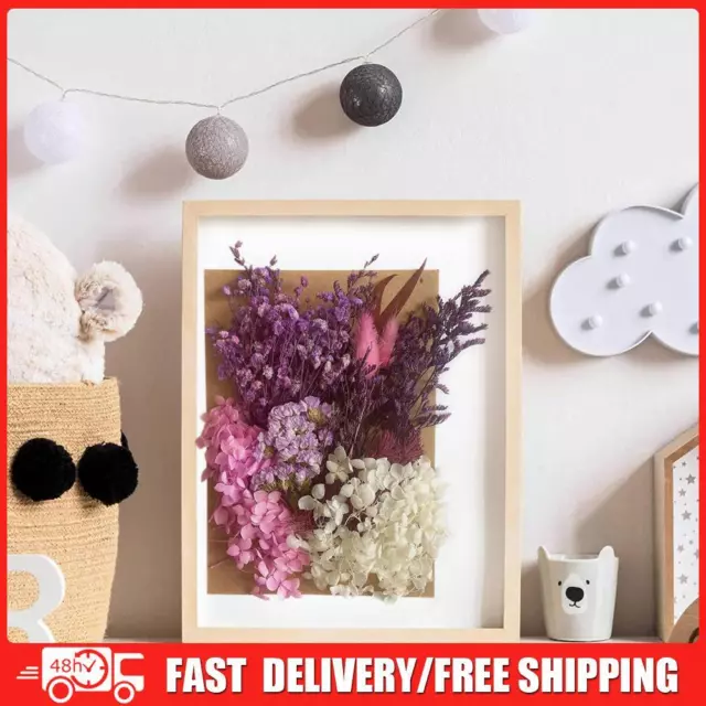 Dried Pressed Flowers for Resin Molds A5 Natural Dry Flowers DIY Candle (E)