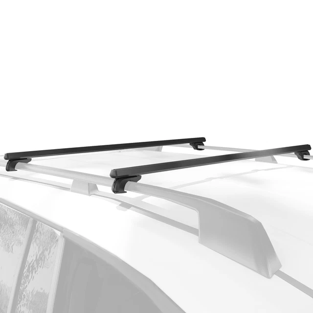 Modification De Toit De Voiture En Corne De Dragon