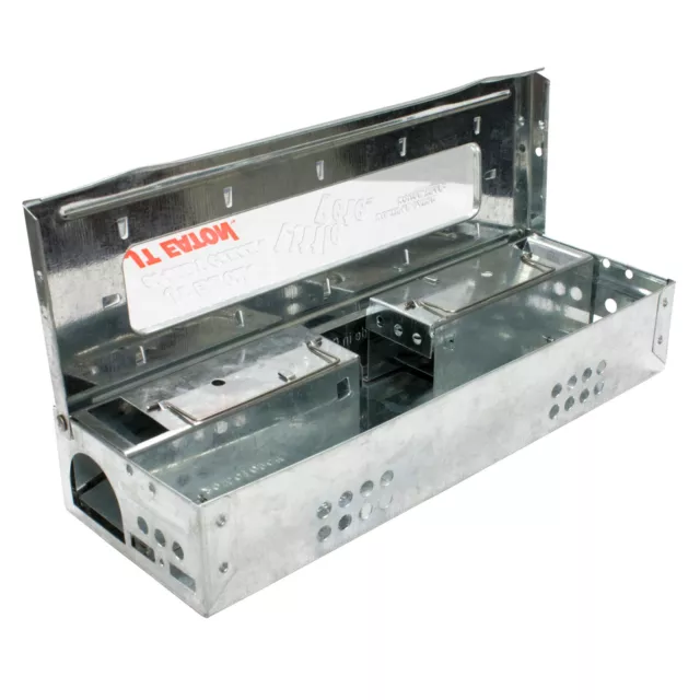 Slim Multiple Catch Mouse Trap Clear Lid Repeater Humane Mouse Trap Easy to Use