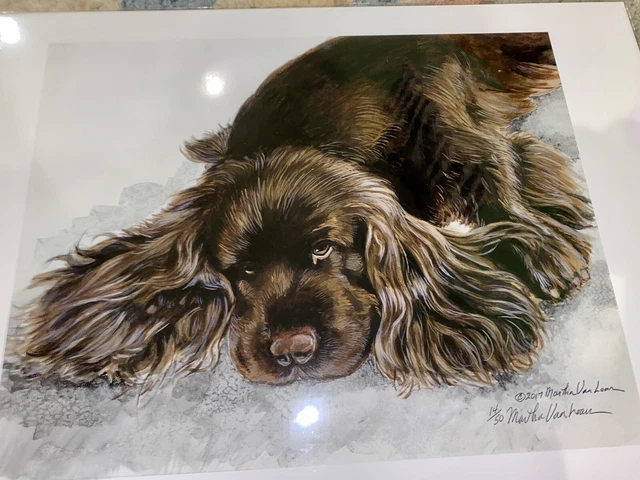 Sussex Spaniel Bitch 11x14 Ltd Ed Print By Van Loan