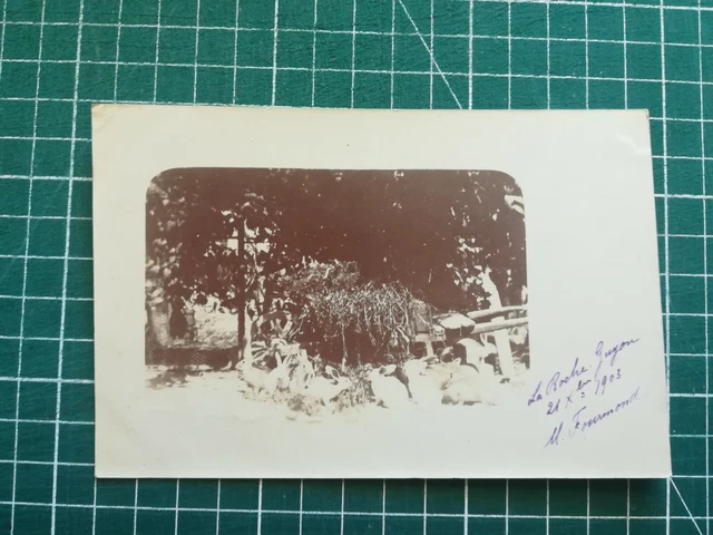 sb460 CPA BE circa 1900 la Roche Guyon - élevage de lapins