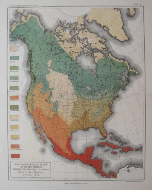 Original 1890 Hart Merriam BIOLOGICAL MAP OF NORTH AMERICA Principal Life Areas