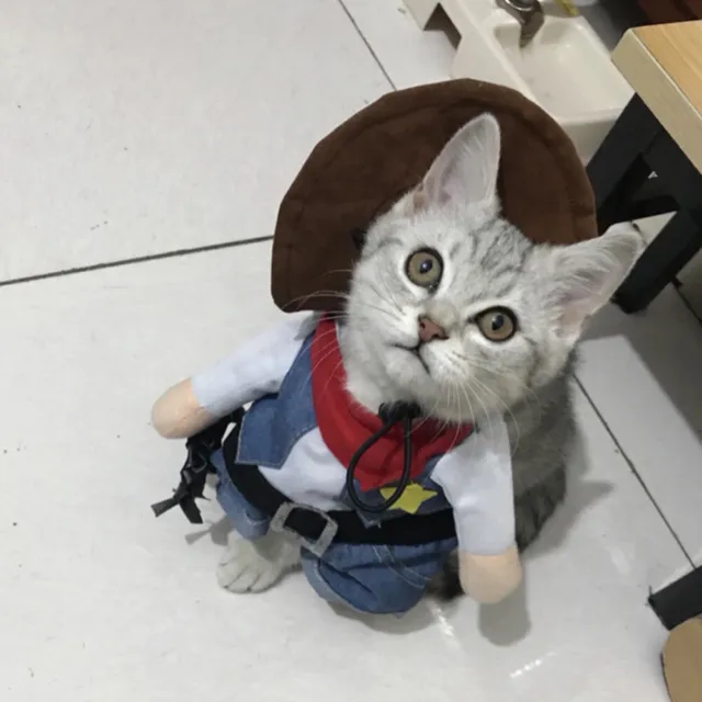Katze Cowboy Kleidung Hut Halloween Kostüm für Pet Lustige Pet Kleidung