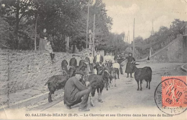 Cpa 64 Salies De Bearn Le Chevrier Et Ses Chevres Dans Les Rues De Salies