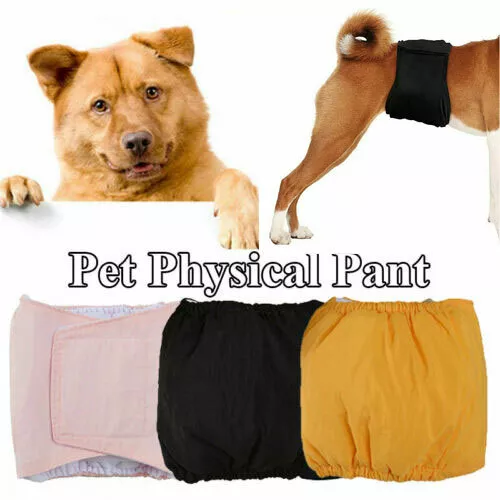 XS-XL Mâle Chien Chiot Animal Domestique Nappy Couches Ventre Enveloppe Bande .J