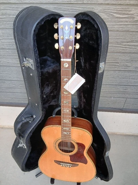 Ebase Guitar EBJ596(HC付) EBASE GUITAR EBJ596 with Case £458.54 - PicClick UK
