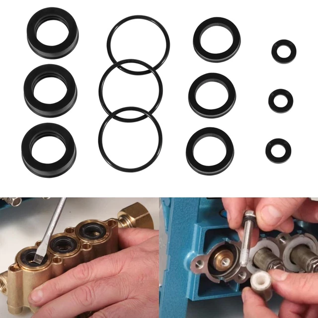 12pcs 76975 Seal Kit for CAT Pump 4DNX Pumps 4DNX25GSI 4DNX27GSI