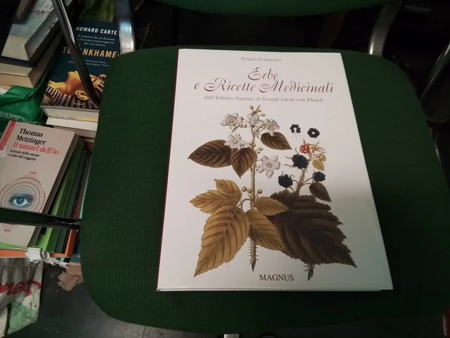 ERBE E RICETTE MEDICINALI. F. FORNASARO, MAGNUS 2002, 7n24