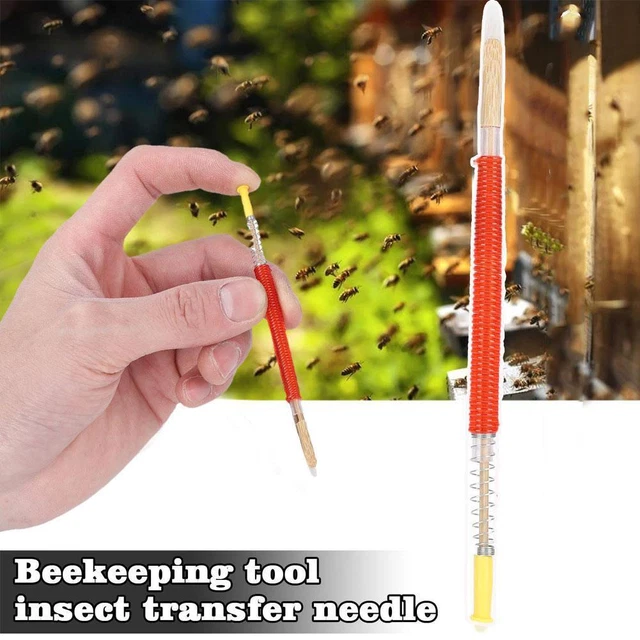 Bee Tools Move The Needle Horn Insect Pest Shift Queen Needle sds Worm Y9J9