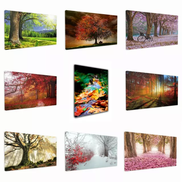 Stunning Nature Canvas Wall Art High Quality Framed Prints Various Colours/Sizes