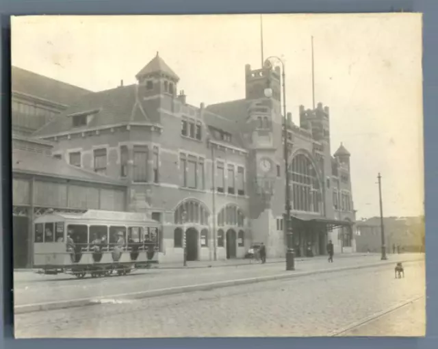 Nederland, Haarlem  Vintage silver print. Pays Bas. Netherlands   Tirage a