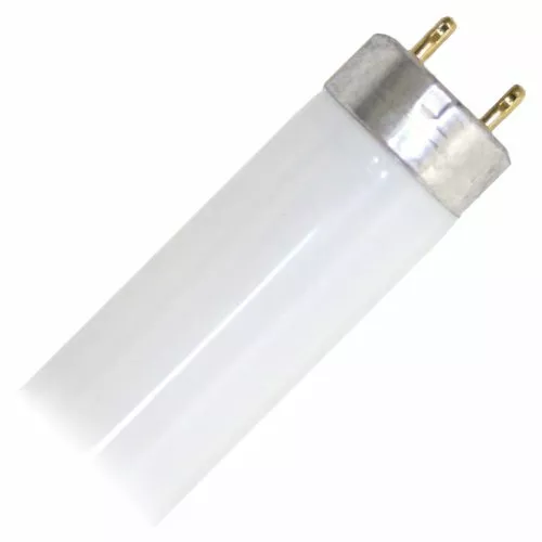 Sylvania 21660 - FO32/850/XPS/ECO3 Straight T8 Fluorescent Tube Light Bulb