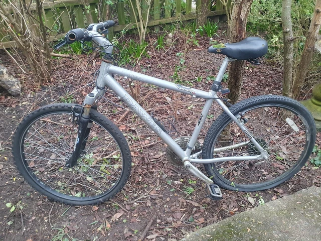 Dawes saratoga online ladies bike