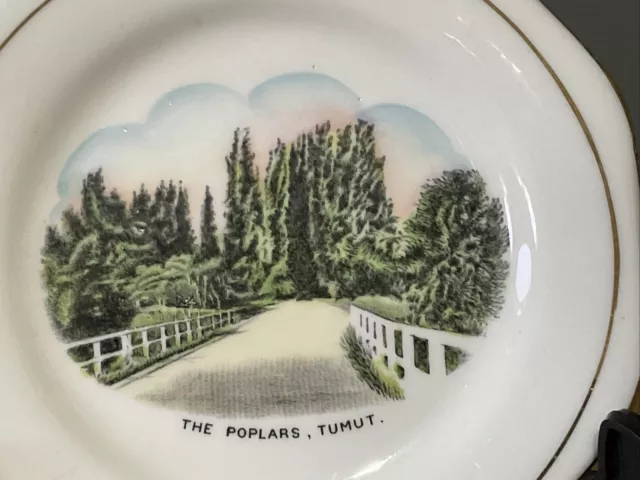 The Poplars Tumut NSW VINTAGE Small Plate Souvenir Royal Stafford Bone China VGC 2