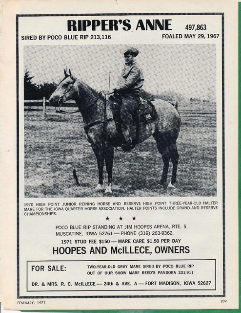 Magazine Ad - 1971 - R.C. McIllece Horse Farm, Fort Madison, IA - RIPPER'S ANNE