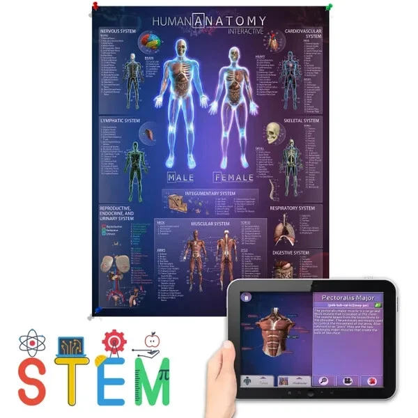 Popar Human Anatomy Wall Chart, Download Free App & Learn 1000's Of New Facts