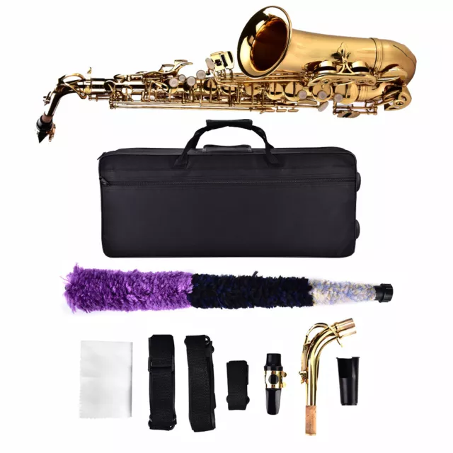 Saxophone Alto Mib Ensemble laiton doré avec étui Graisse pour embouchure Brosse 3