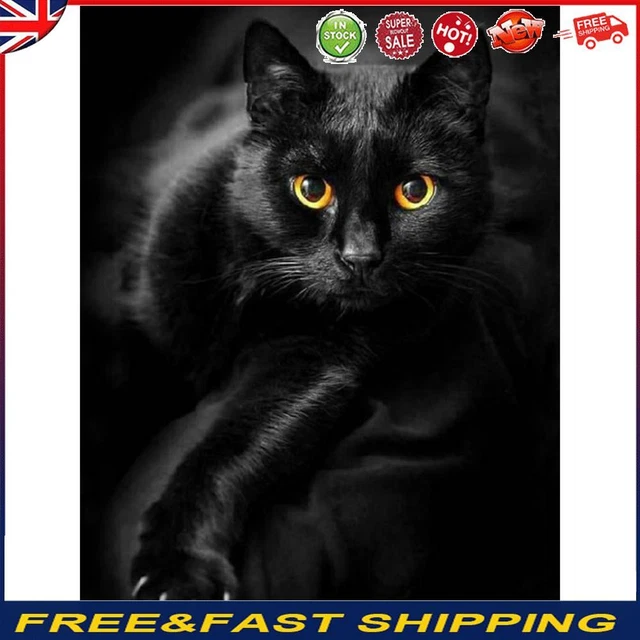 5D Diamond Painting Kit DIY black cat Full Round Drill Mosaic(HJ499) -