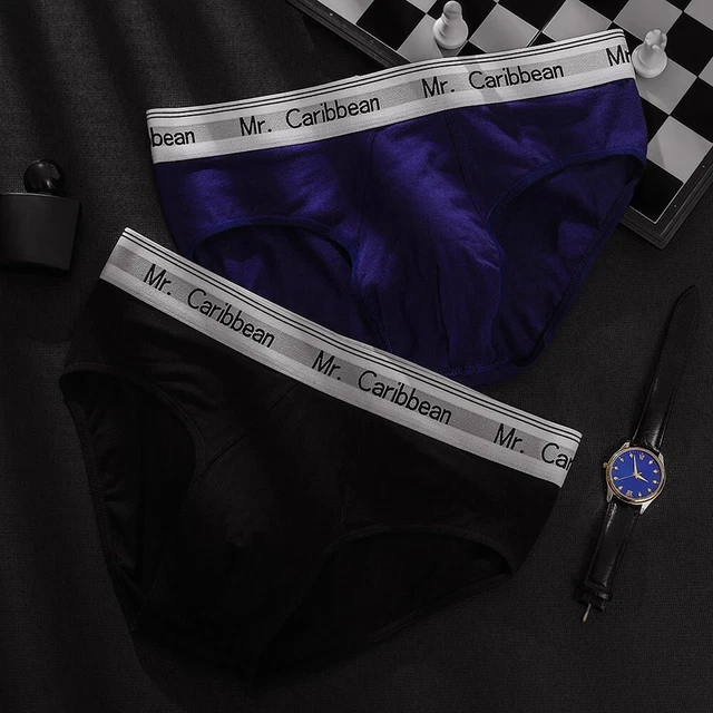 Slip Homme Brillant Effet Soie Glacée – Poche Avant Galbée, Microfibre Stretch, Confort Seconde Peau