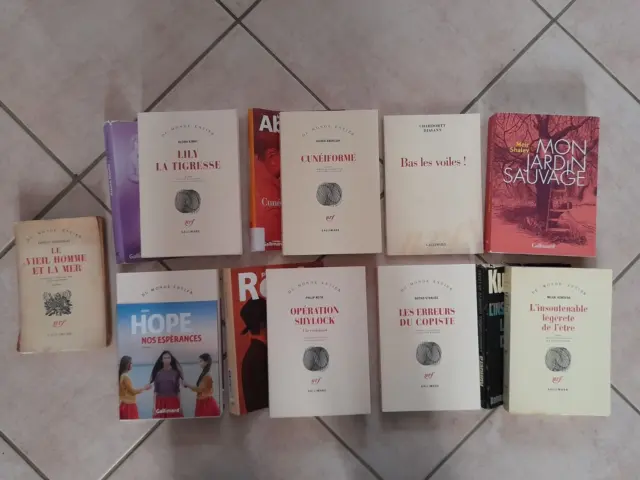 Lot 9 Livres NRF Gallimard : Kundera / Hemingway / Roth / Strauss / Hope etc...