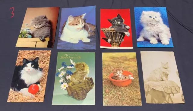 Vintage Postcards Kittens And Cats Vintage/old