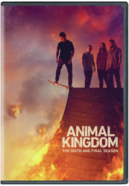 Animal Kingdom: Season 6 (DVD) Leila George Finn Cole Ben Robson Shawn Hatosy
