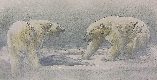 Robert Bateman Polar Bear Challenge Predator Portfolio Hand Colored
