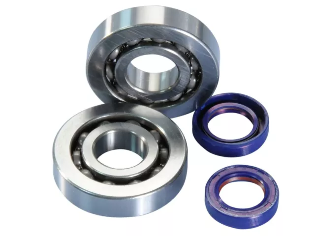 Gilera DNA 50cc GP 2T LC Crankshaft Bearing Set from Polini