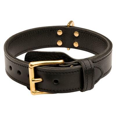 K9 Heavy Duty Dog Collar M L XL for Training Strong 2 Ply Leather Brass Hardware