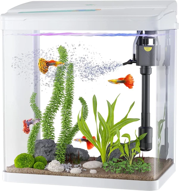 3 Gallon Glass Aquarium Fish Tank with Filter and Light Desktop Small Fish Tank