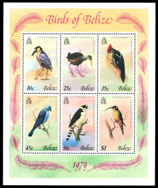 BELIZE 421a - Birds of Belize "Souvenir Sheet" (pb84564)