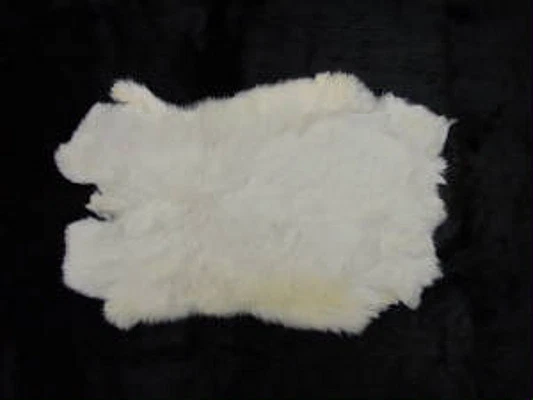WHITE RABBIT SKIN Fur Pelt Hide Craft Real Genuine Bunny Taxidermy Soft Animal WHITE RABBIT SKIN Fur Pelt Hide Craft Real Genuine Bunny Taxidermy Soft Animal