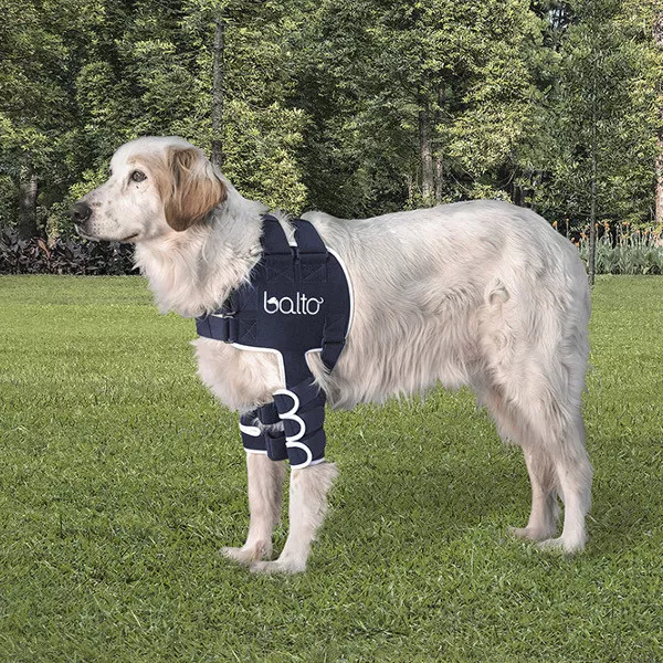 Balto Dog Shoulder Brace: True Support - BT-LUX - limits abduction and extension