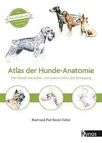 Atlas der Hundeanatomie | Buch | 9783954642090