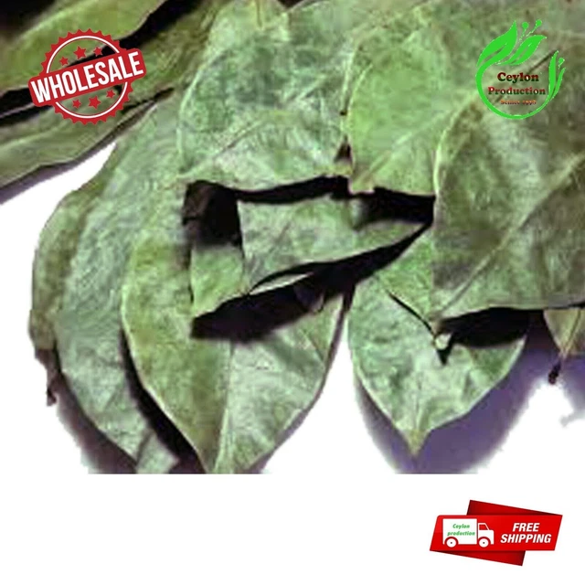 Polvere Di Foglie Di Soursop / Tè Alla Graviola / Annona Muricata - Italia - Foto 3