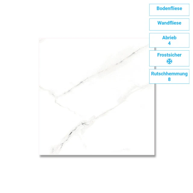 Fliese Wand Boden Marmor Glanz Frostsicher Fußbodenheizung 1,44QM 60x60 9mm R8