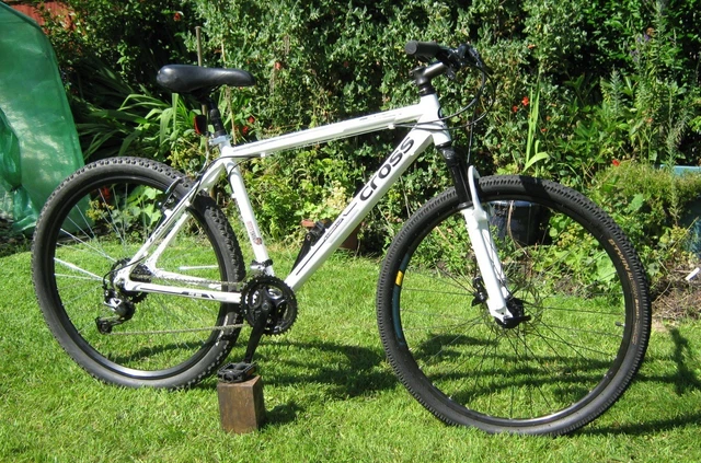 fxt 300 mountain bike