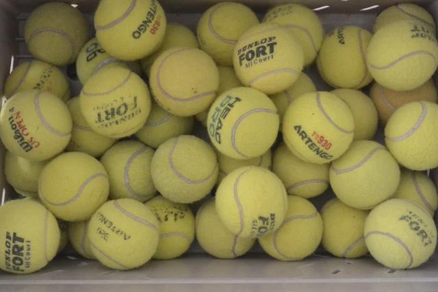 Lot de 30 balles de tennis usagées balle d'occasion pour entrainement ou chien