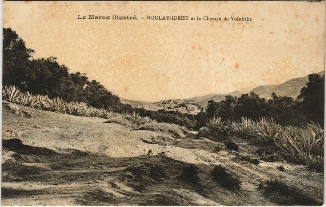 CPA AK Moulay-Idriss et le Chemin de Volubilis MOROC (1083400)
