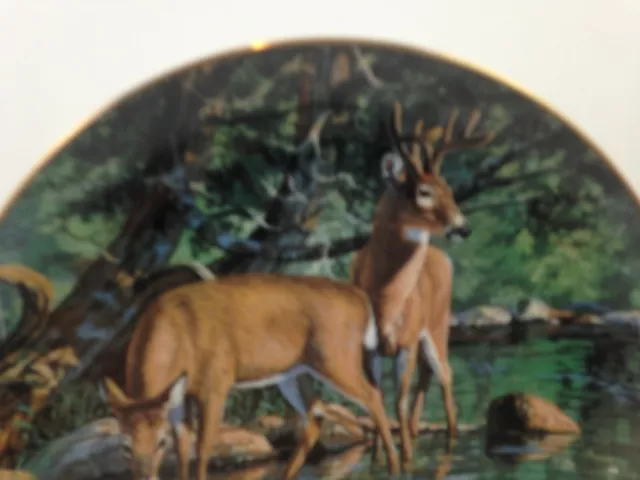 Friends of the Forest VELVET REFLECTIONS Deer Plate Bruce Miller  Danbury   t24 3