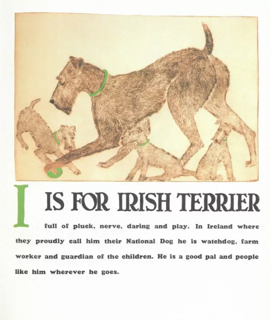 "I" is for Irish Terrier - CUSTOM MATTED - Vintage Dog Art Print - Clara Tice