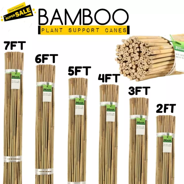 Bamboo Garden Heavy Duty Canes Thick Quality Plant Veg Support